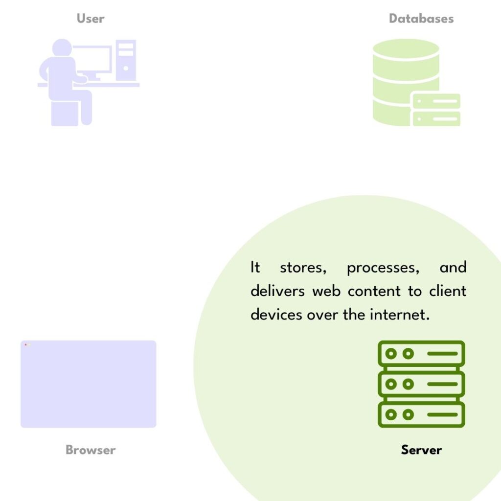 Server
